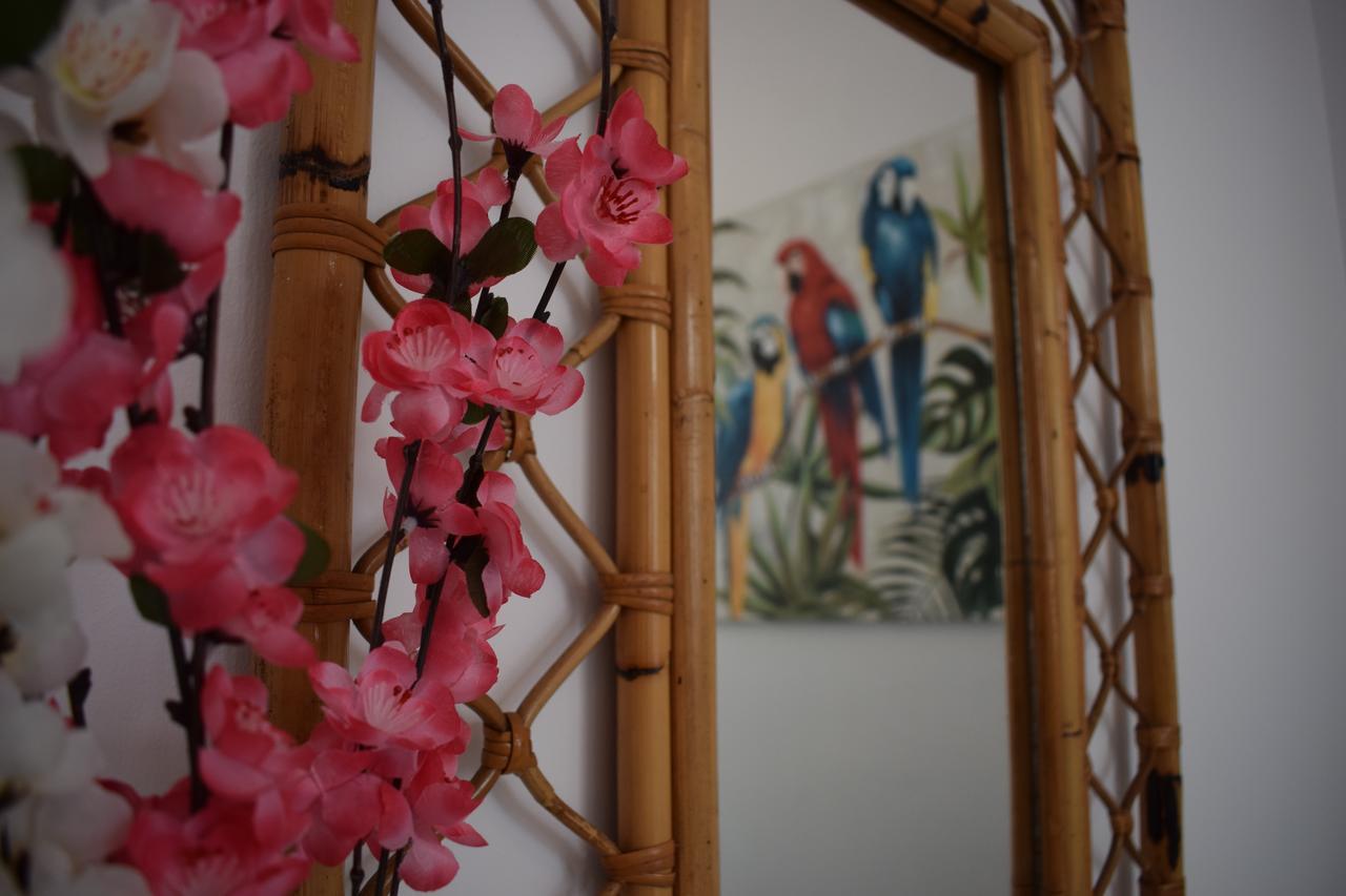 Casa Cinzia Bed and Breakfast Las Palmas de Gran Canaria Eksteriør billede